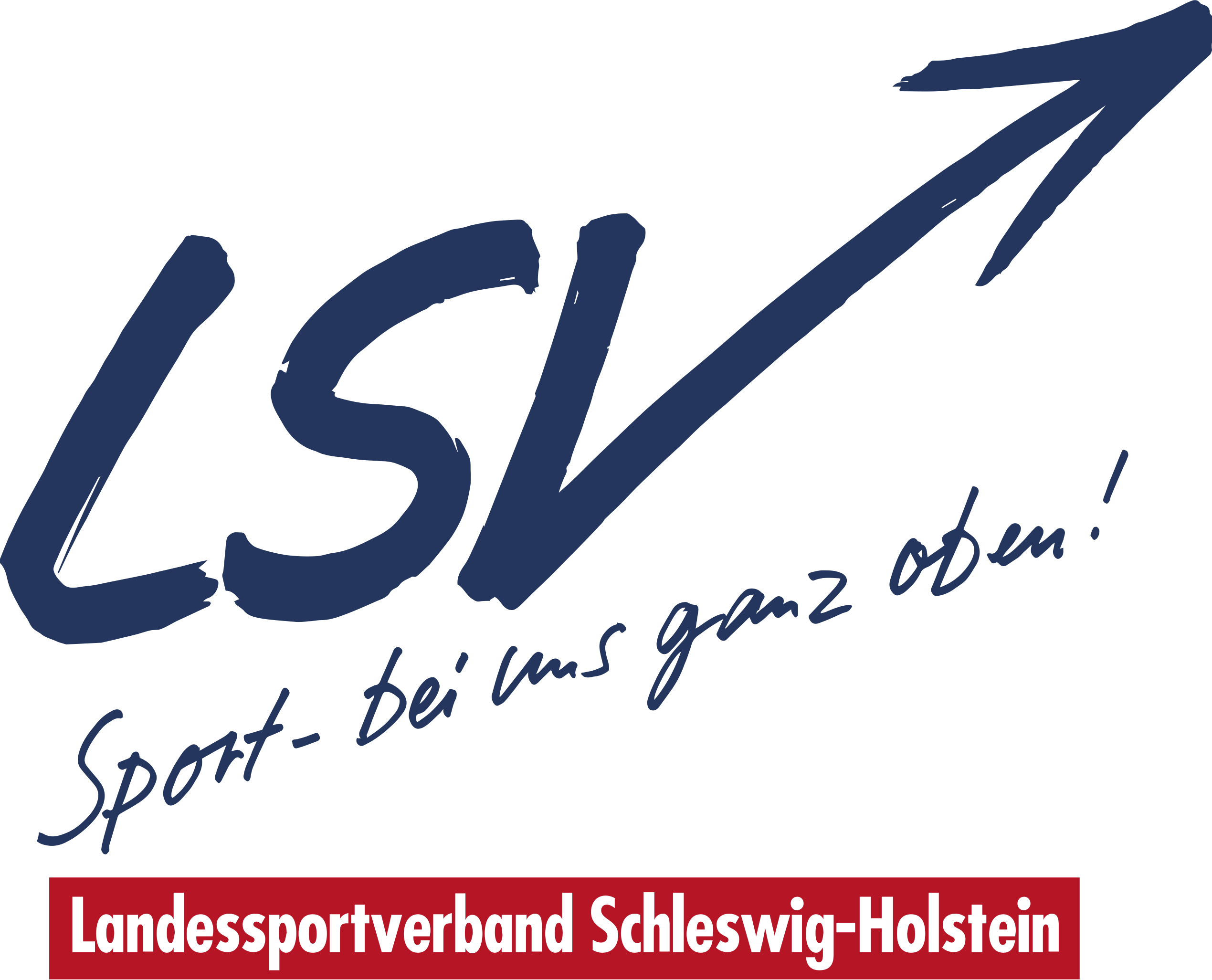 Logo LSVa